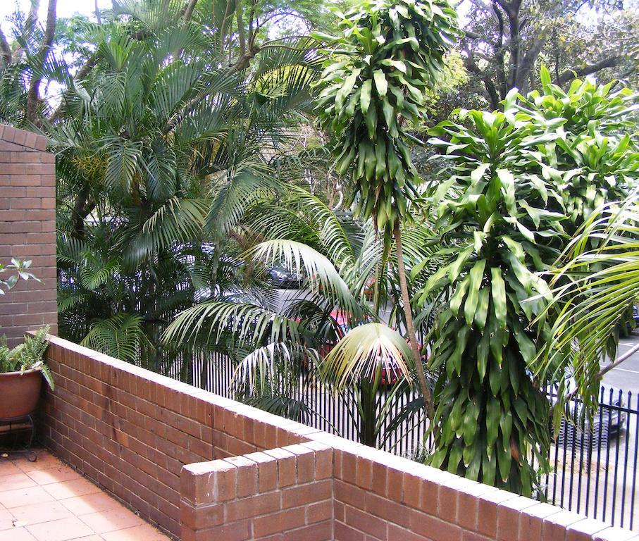 The Gardens Apartments Brisbane Exteriör bild